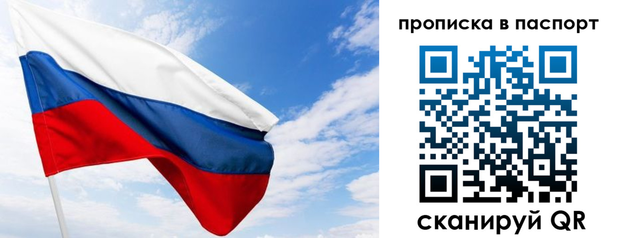 прописка поиск в Болотном