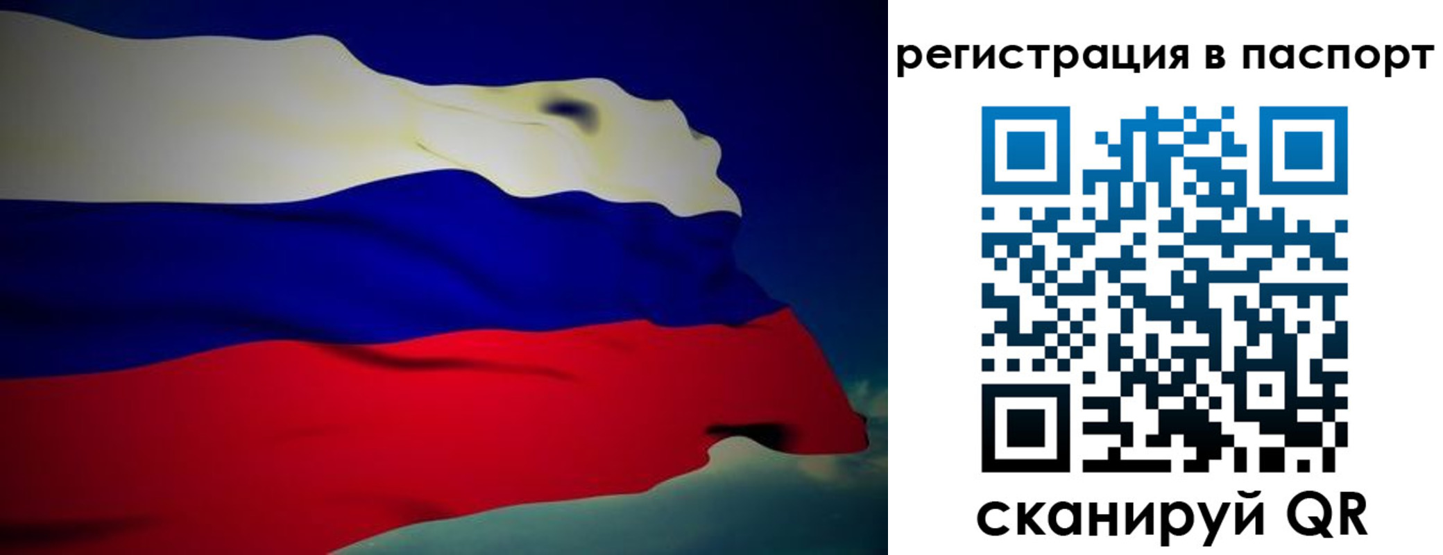временная регистрация 2025 в Болотном